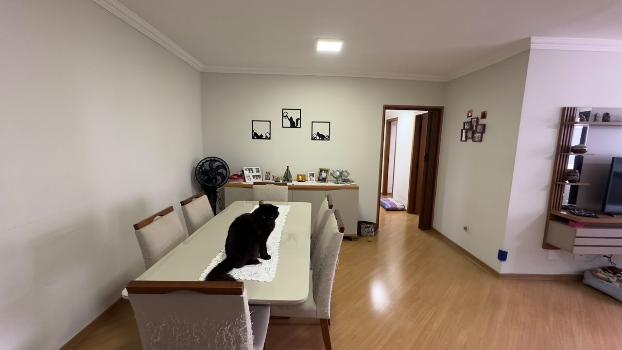 Apartamento em Jardim Aquarius , foto 2