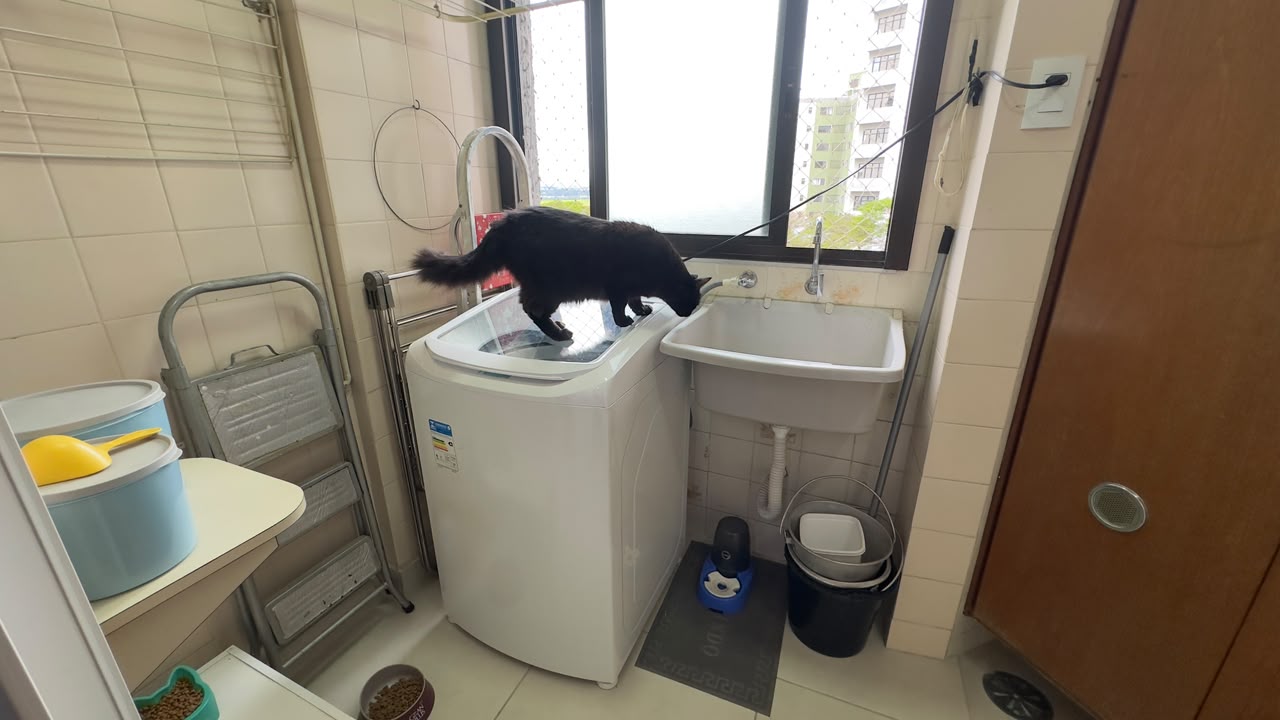 Apartamento em Jardim Aquarius , foto 22